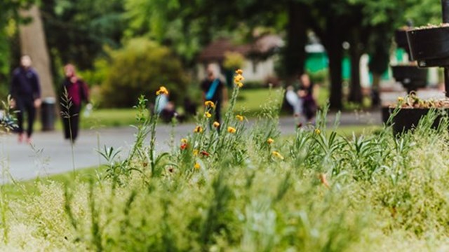 Natural Capital
