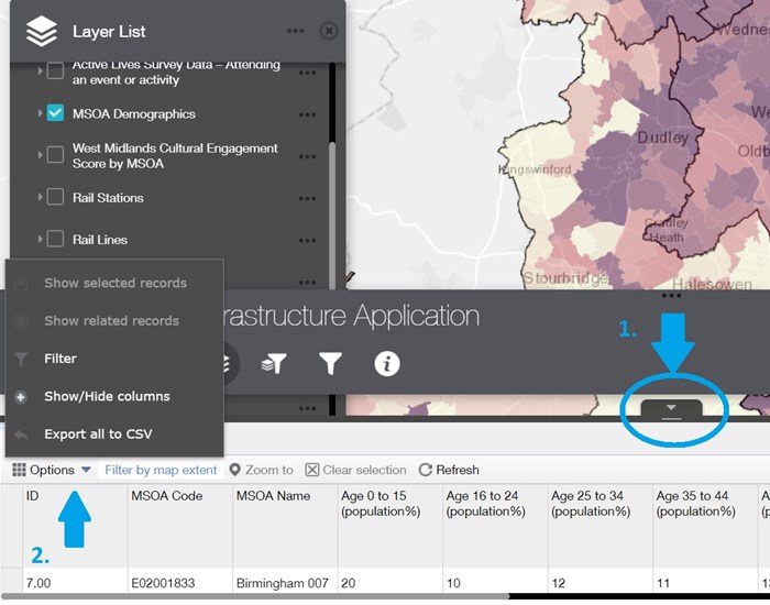 Screenshot of WMCA Cultural Infrastructure Application