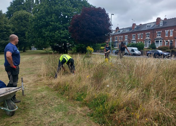 A group of people clearing through some long grass