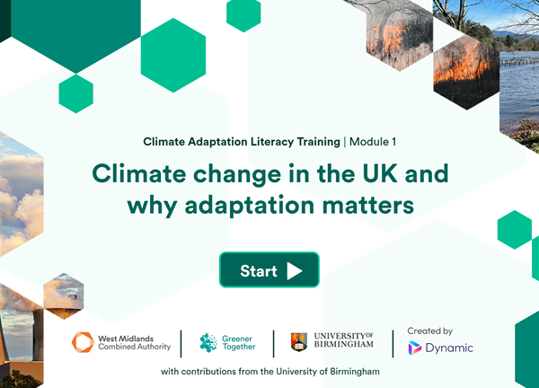 CA Training
