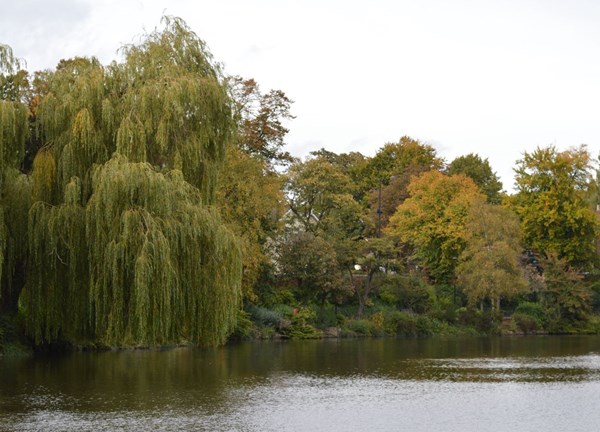 Walsall Arboretum