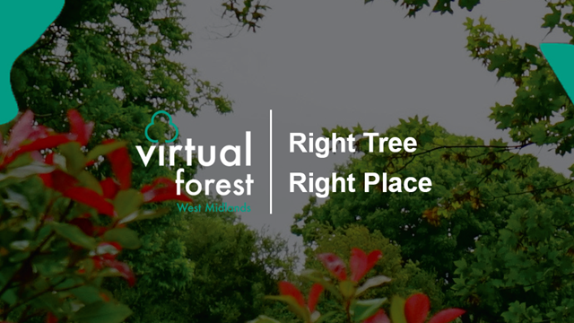 Right Tree, Right Place (Header) 6.0