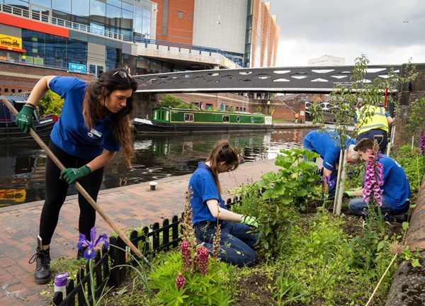 WIB Lead Volunteer Ecologist