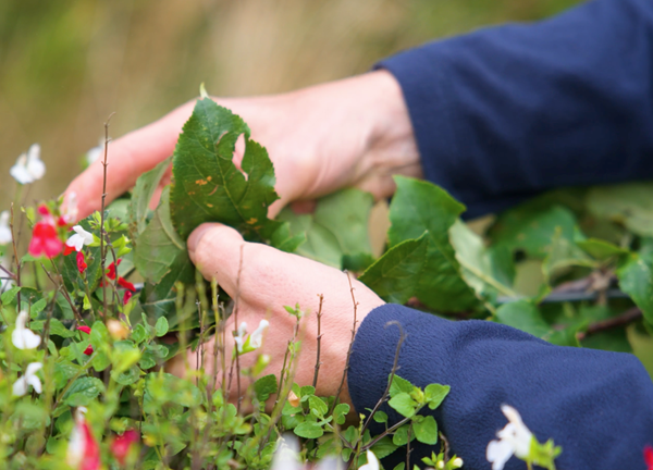 Screenshot 2024 10 23 At 16.43.31