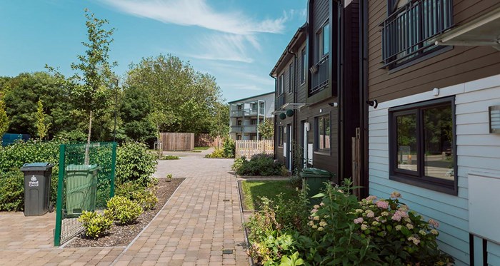 Row of houses with a path outside