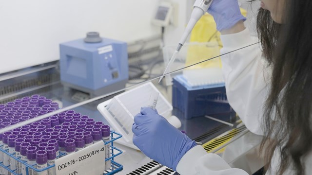 Looking over the left shoulder of a scientist, in a lab coat and blue rubber gloves. She has a syringe device and is taking a sample from a test tube. In front her the desk is full of test tubes in a rack.